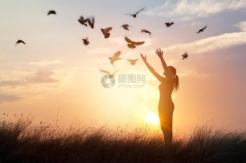 女人在自由的鸟儿中祈祷在日落下享受大自然图片