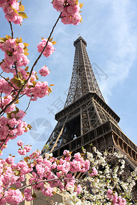 Eiffel铁塔春季图片