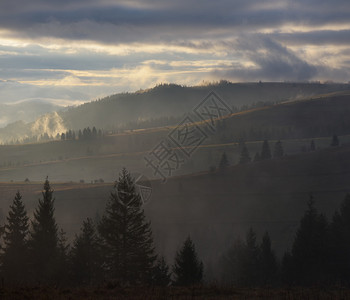 秋天的风景山中的晨雾自然之美图片