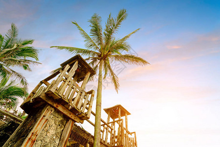塔和椰子树的木结构图片