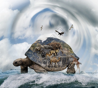 世界海龟携带图片