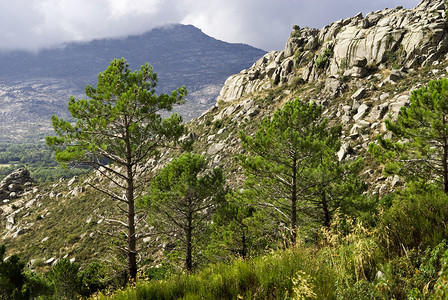 瓜达拉马山脉的山岩图片