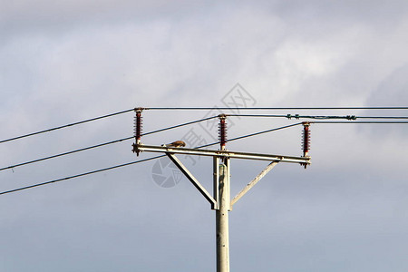 电流过的电线杆和电线图片