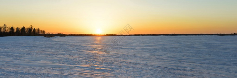 西伯利亚针叶林日落全景高清图片