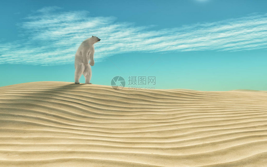 沙漠中的北极熊这是一个3d渲染插图图片