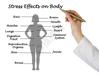 压力对身体的影响图片