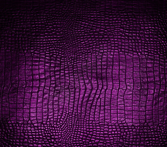 紫色蛇皮图片
