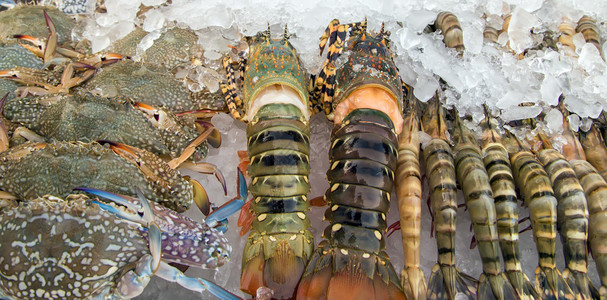 五颜六色的生龙虾海鲜图片