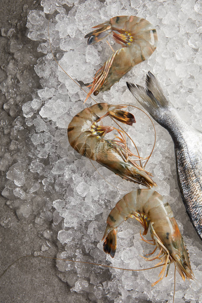 碎冰上生鱼和虾的俯视图图片
