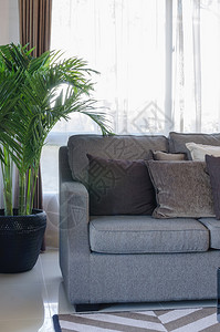 现代灰色沙发起居室有枕头和背景图片