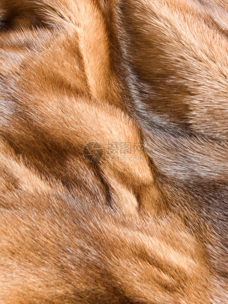 豪华棕色水貂毛皮纹理的特写浅自由度图片
