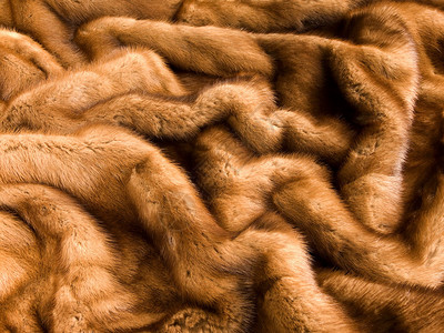 奢华棕色水貂皮毛纹理的特写背景图片