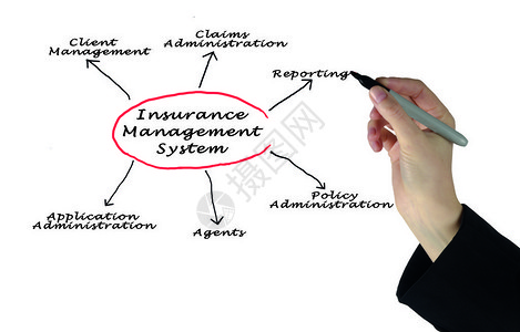 保险管理系统图片