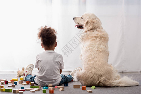 穿着白色T恤的小孩背影带着快乐的狗被玩具图片