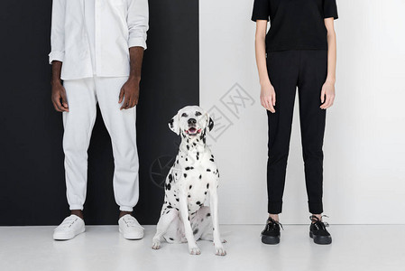 美籍非洲男友和女友在黑白墙旁与达马特犬站立的画图片