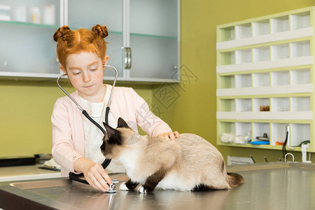 用听诊器给猫听诊的可爱红发女孩图片