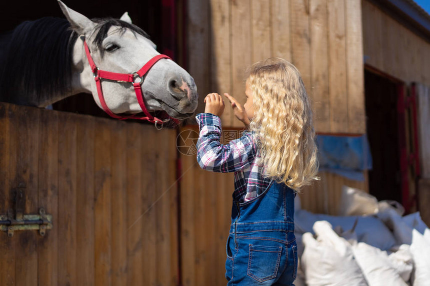 孩子在农场摸马的侧视图图片