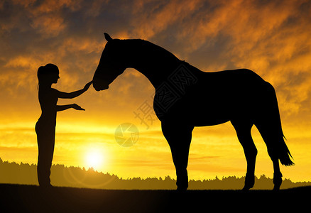 日落时有马的女孩图片
