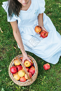 坐在草地上的树枝篮子里新鲜摘苹果女孩图片