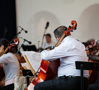 音乐会的管弦乐团C图片