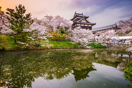日本奈良春景图图片