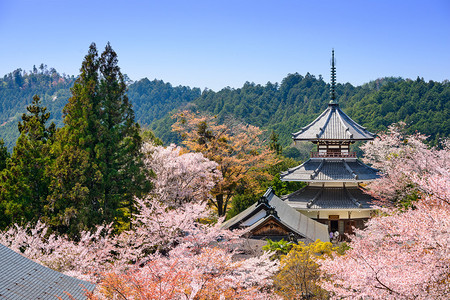 金风日本奈良吉野的金峰山寺背景