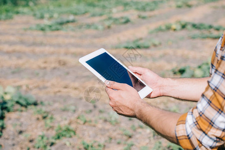 农民站在田地上时使用数字平板片空白屏图片