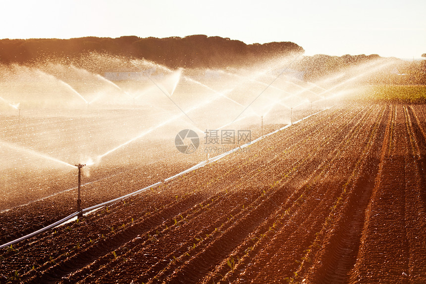 种植玉米田的灌溉反光效应西班牙图片