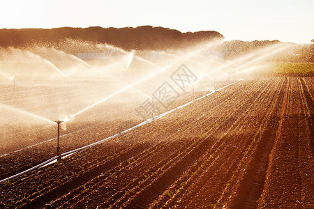 种植玉米田的灌溉反光效应西班牙图片