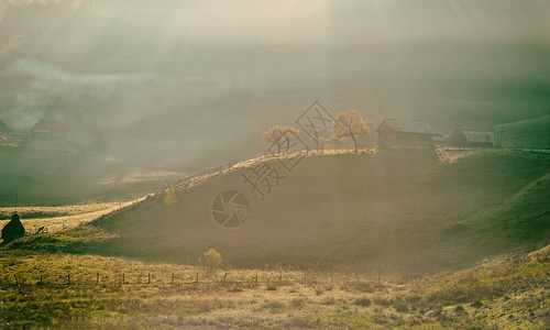 日出时秋天清晨雾的山地景观罗马尼亚波诺图片