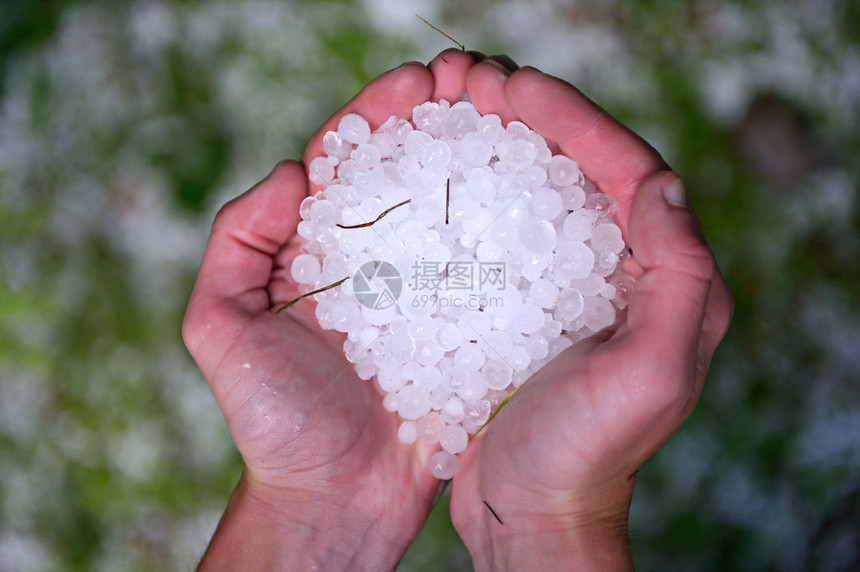 暴风雨过后一个小植图片