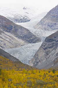 Nigardsbreen冰川图片