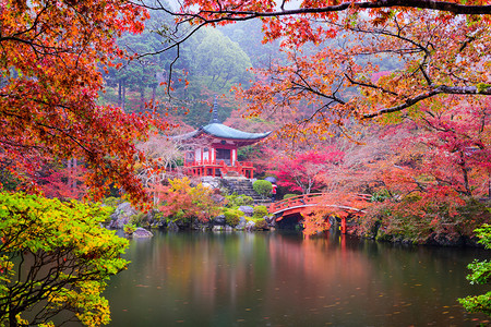 日本京都秋季醍醐寺图片