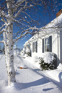 冰雪冬季仙境照片在家图片
