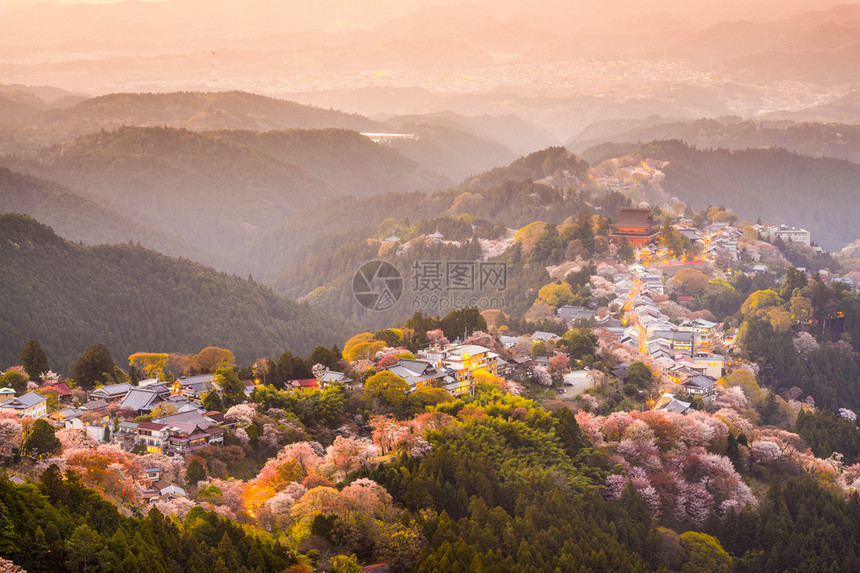日本吉野山的黄昏图片