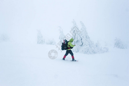 在甘基山上挣扎的爬行者在冬季图片