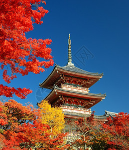 11月19日本背景图片