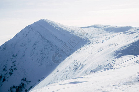 Gorgany山上被雪覆盖的山丘图片