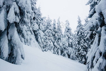 甘基山上美丽的冬季图片