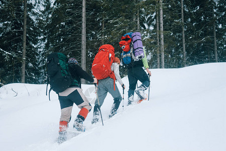 戈尔加尼山脉冬季森林的登山者链图片
