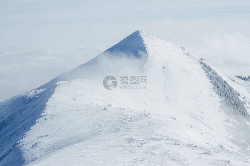 Gorgany山被雪覆盖的山峰图片