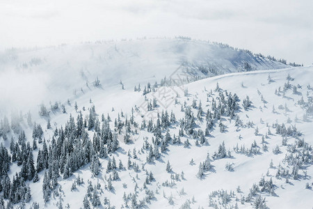 Gorgandy山冬季森图片