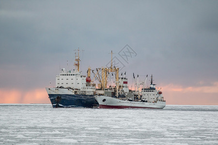 钓鱼基地将产品运送到鄂霍次克海冷库图片