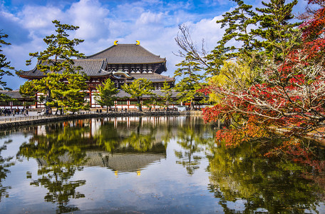 日本奈良秋天的东大寺图片