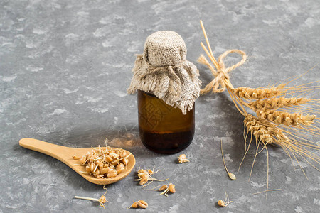 用于美容目的勺子和小麦胚芽油瓶中的新鲜发芽小麦种子图片