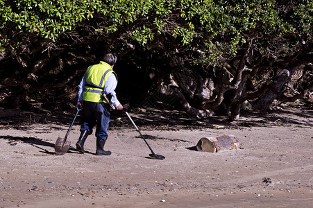 男子在海滩上用金属探测器寻找金属图片