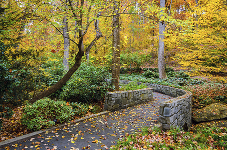美国佐治亚州雅典植物园的秋季小径图片