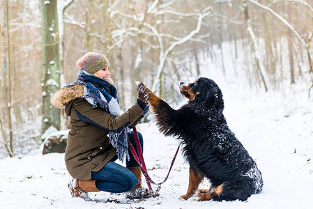 冬日，女人和狗在雪地里高五图片