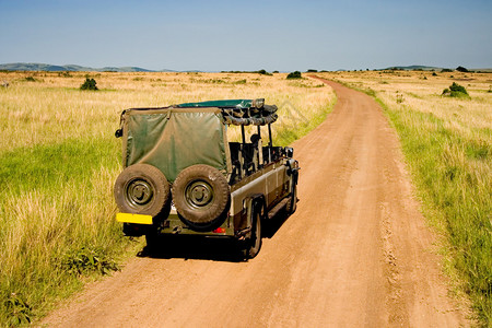 吉普车在肯尼亚的非洲大草原进行狩猎图片