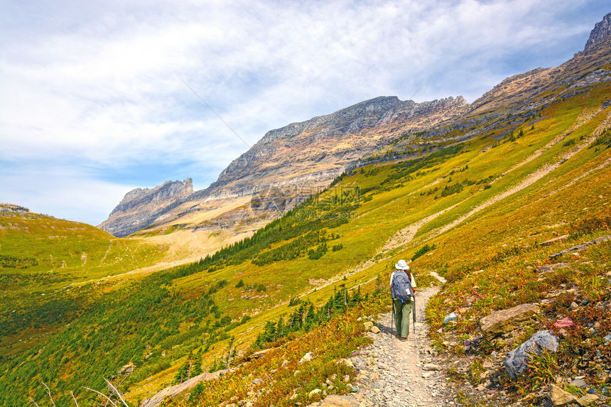 秋天蒙大拿州冰川公园高线轨迹上的HikerTr图片